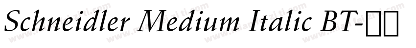 Schneidler Medium Italic BT字体转换